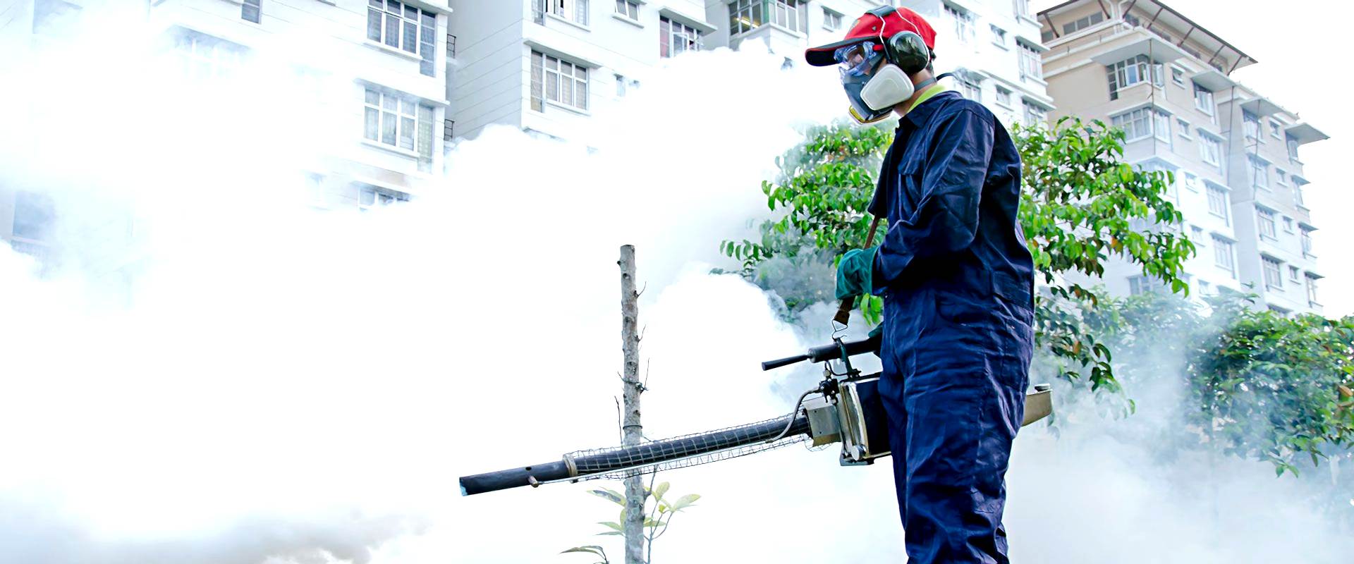 İstanbul Paşam Böcek İlaçlama