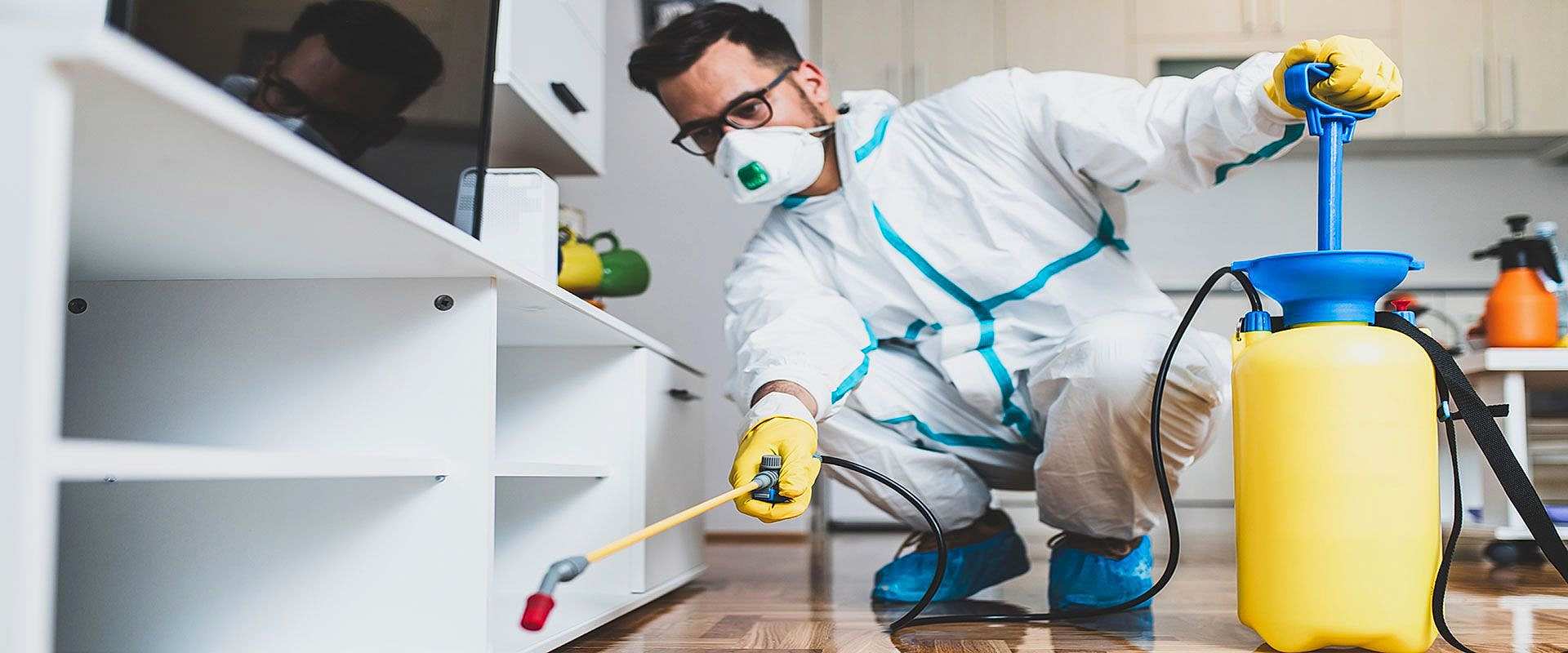 İstanbul Paşa Böcek ve Haşere